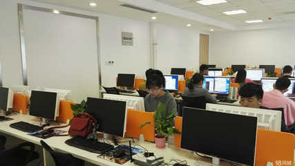 迅鋒商務(wù)信息咨詢(xún) 企業(yè)決策的智慧引擎與風(fēng)險(xiǎn)屏障